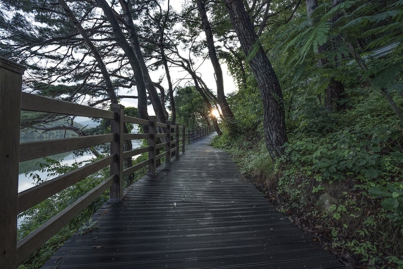 Healing Plant Sanctuaries