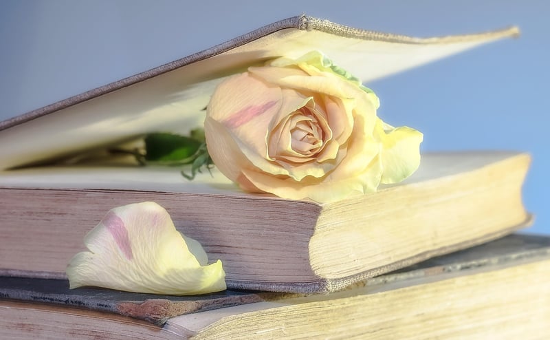 Magical Books